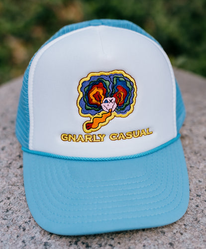 SKY TRUCKER HAT